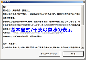 基本命式/⼲⽀の意味の表⽰